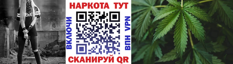 ГАШ Лодейное Поле