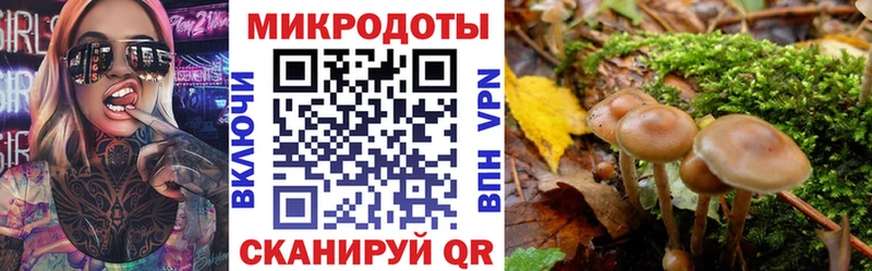 Галлюциногенные грибы мицелий  Купить где  Лодейное Поле 
